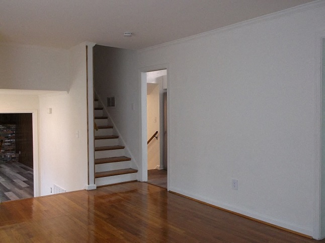 Gallery Photo 7
